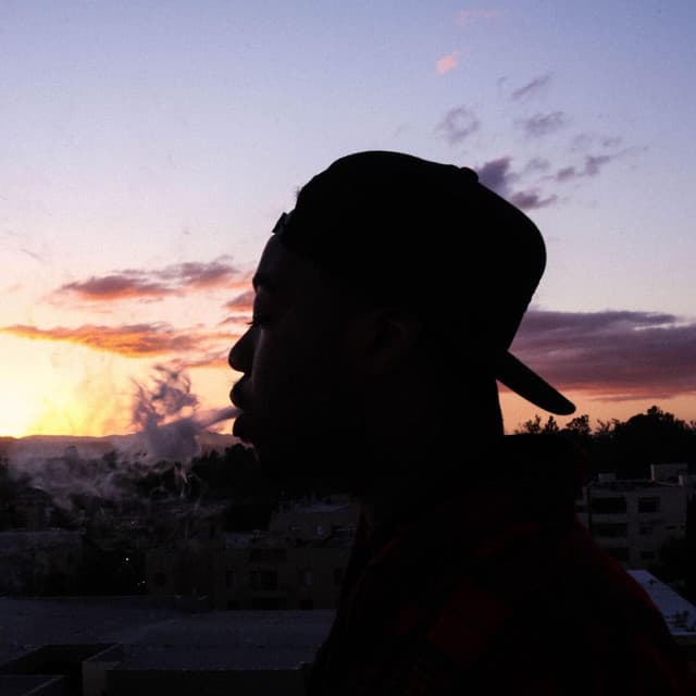 Domo Genesis's artist profile image
