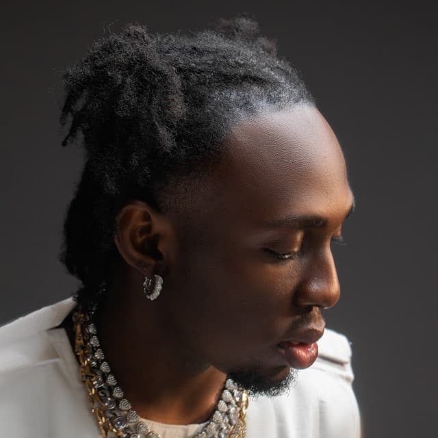 BOLA BMH artist profile image