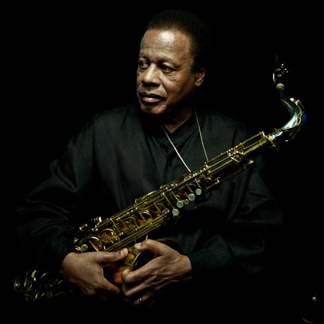 Wayne Shorter artist profile image