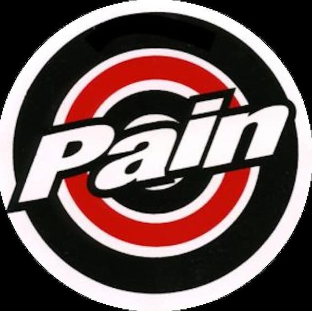 Pain's artist profile image