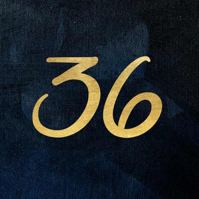 36 Questions artist profile image