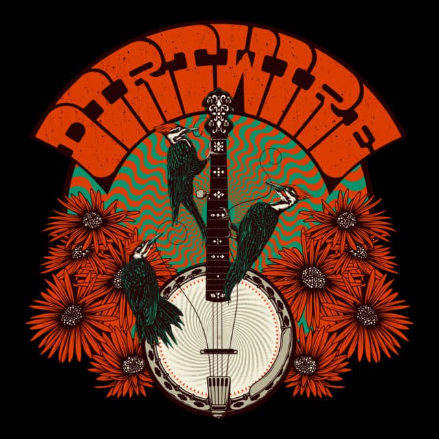Dirtwire's artist profile image