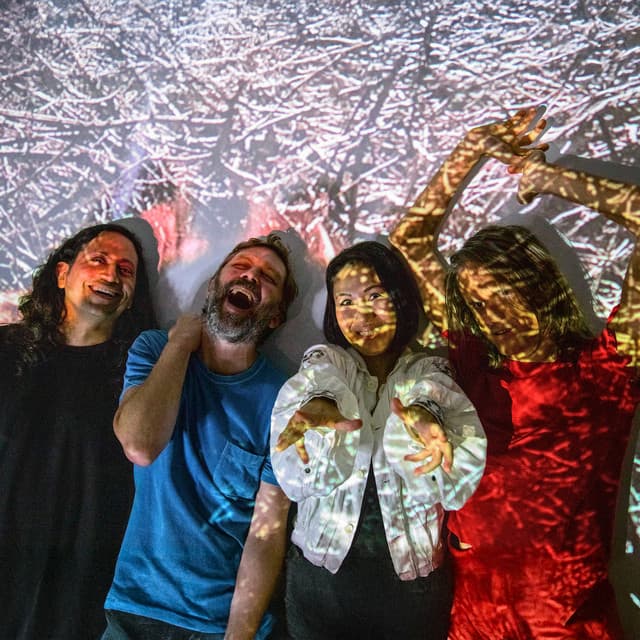 Deerhoof artist profile image