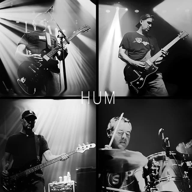Hum artist profile image
