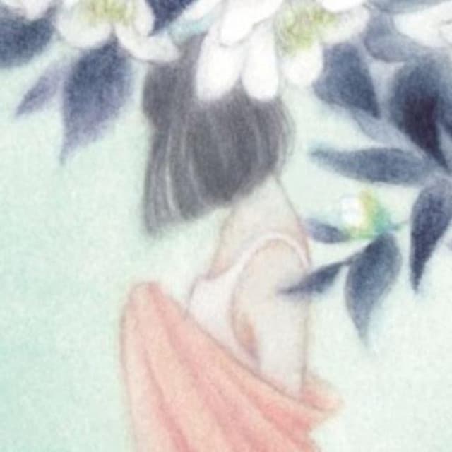 Minuano artist profile image