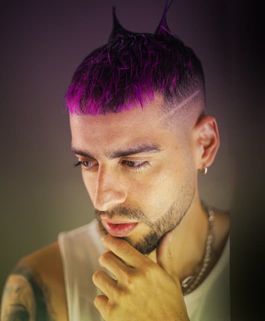 Gaviria artist profile image