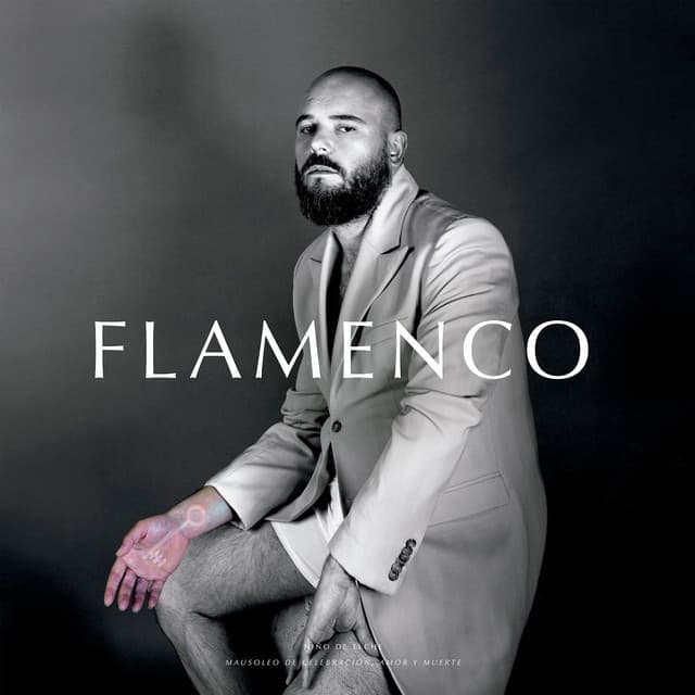 Niño de Elche artist profile image