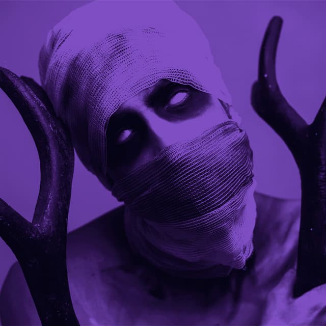 Phonked artist profile image