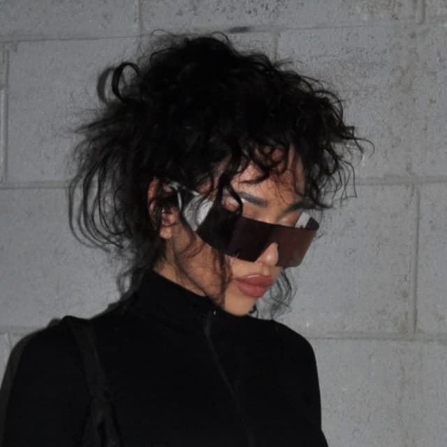 DSL artist profile image