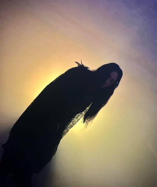 Turnabout artist profile image