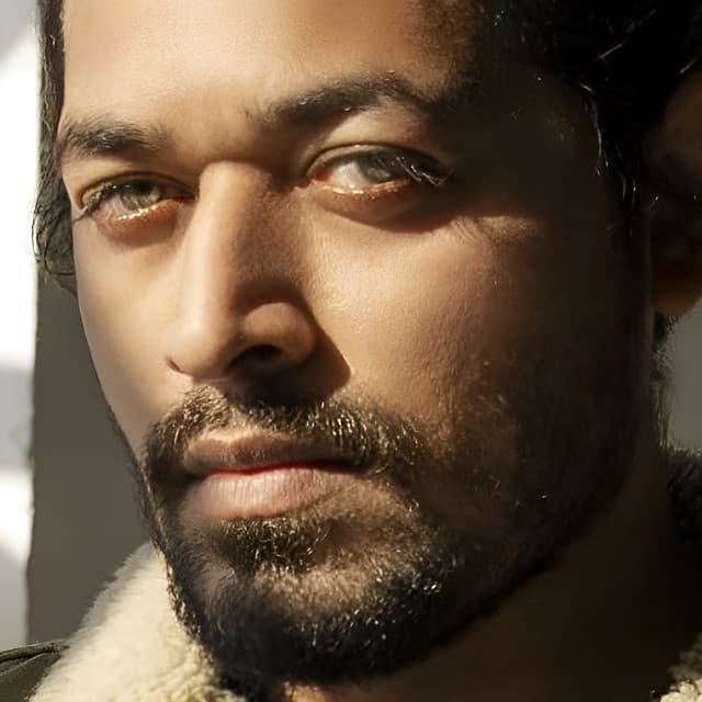 Waqar Ehsin artist profile image