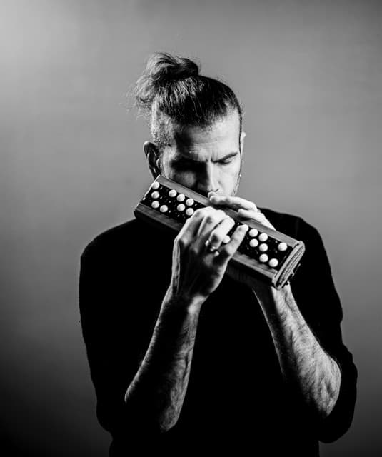 Vincent Peirani's artist profile image
