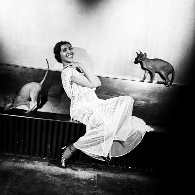 Alice Francis artist profile image