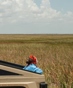 SPINALL's artist profile image