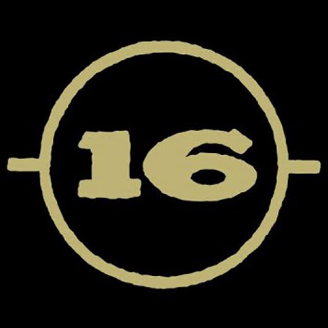 16's artist profile image