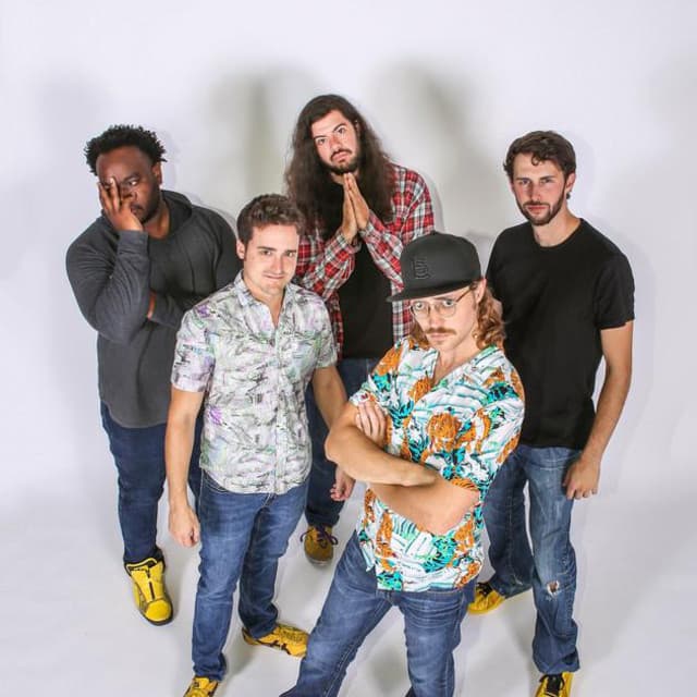 The Aquaducks artist profile image