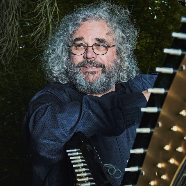 Andreas Vollenweider artist profile image