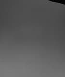 F-Rontal artist profile image