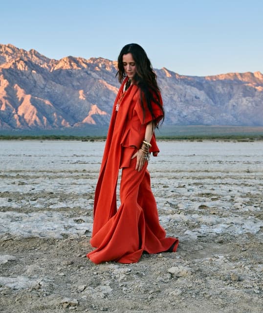 Julieta Venegas artist profile