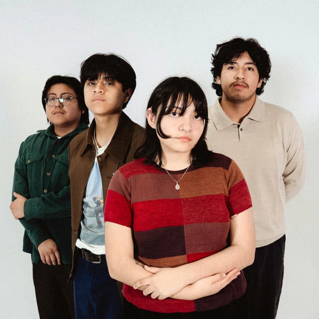 The Treedome's artist profile image