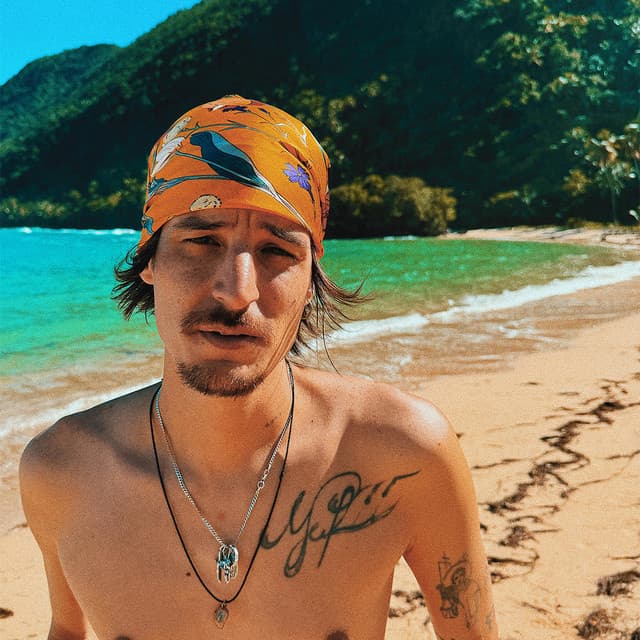 Danny Ocean's artist profile image