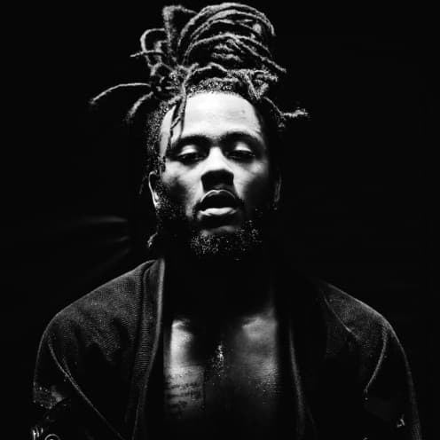 Noveliss artist profile image