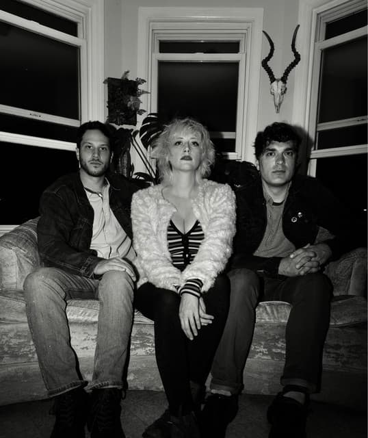 Dentist artist profile image