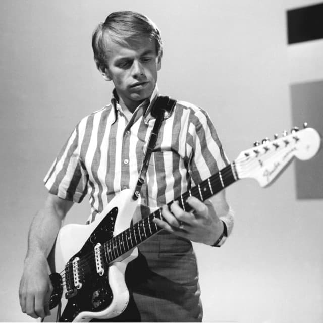Al Jardine's artist profile image