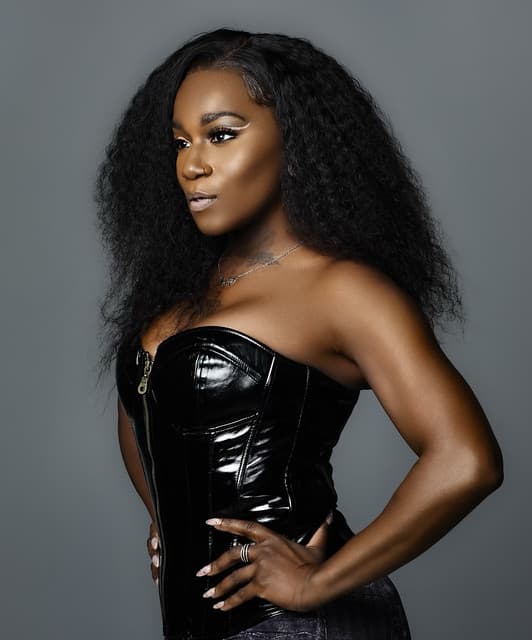 STOUT's artist profile image