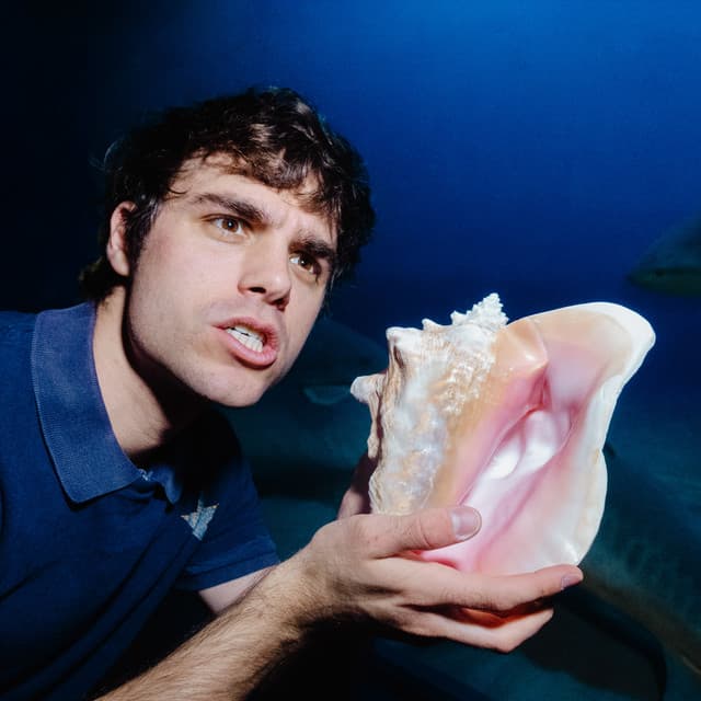 Boyscott's artist profile image