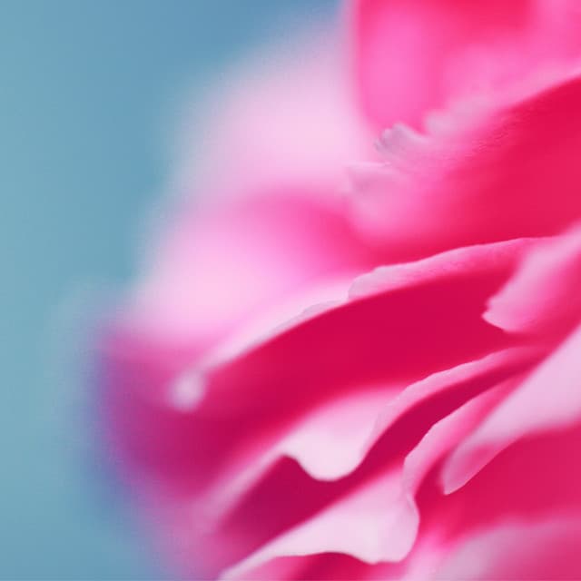 Carla Simmons artist profile image