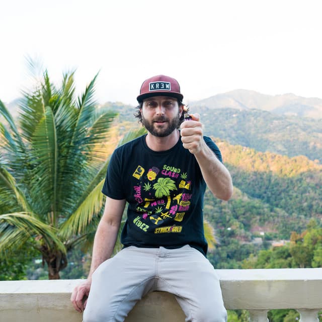 Green Lion Crew's artist profile image