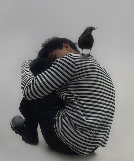 Aldo Carpes artist profile image