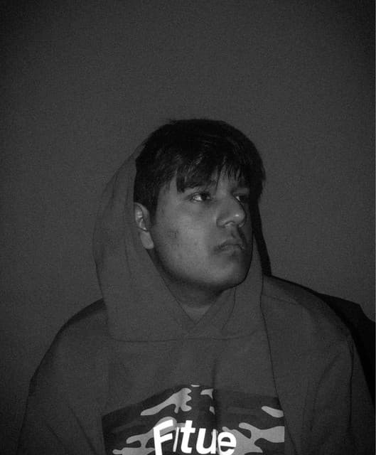 Raptures. artist profile image