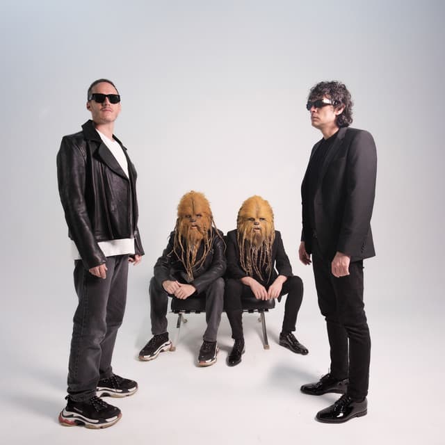 The Wookies artist profile image