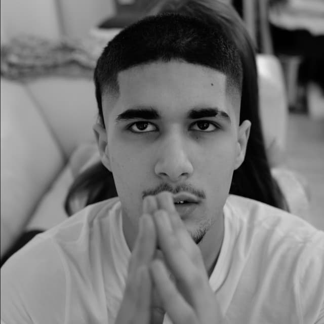 fakemink artist profile