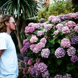 Skinshape's artist profile image