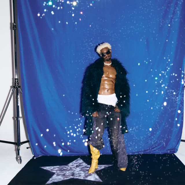 Danny Brown's artist profile image