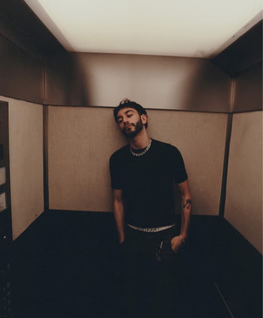 RIZ LA VIE artist profile image