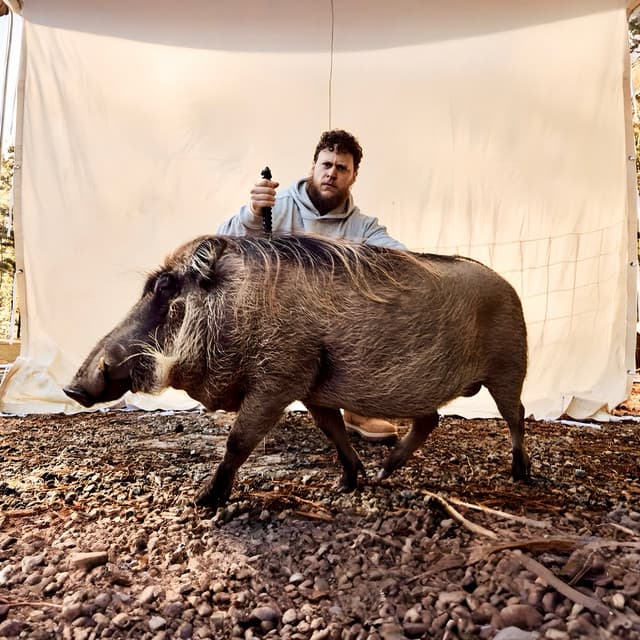 Bilmuri artist profile