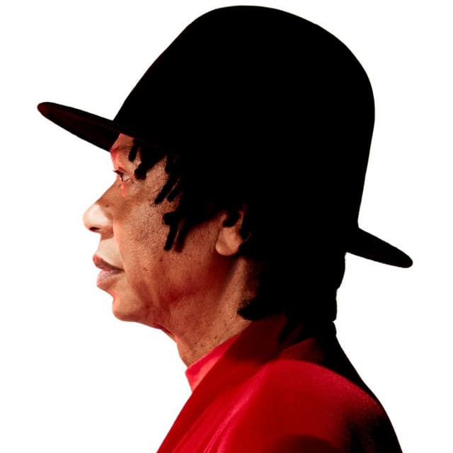 Djavan artist profile image