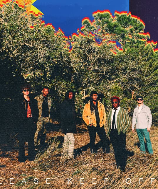 The Psycodelics's artist profile image