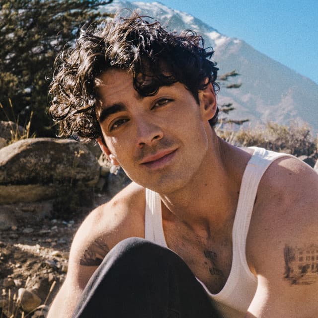 Joe Jonas artist profile image