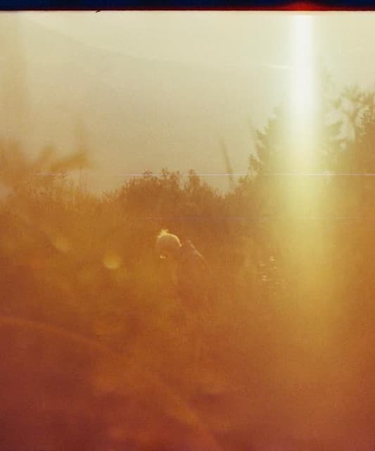 Pambo artist profile image