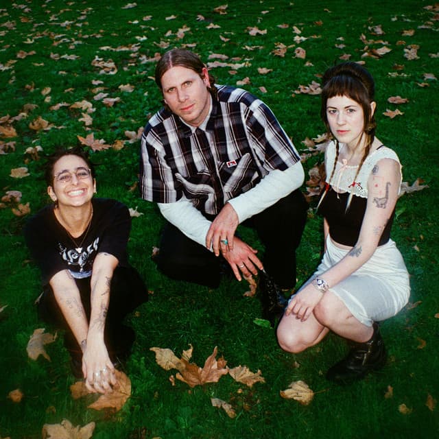 Sour Widows's artist profile image