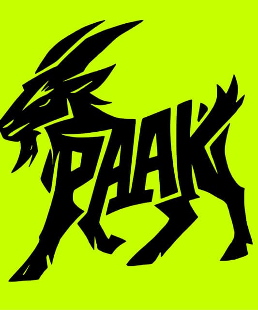 PAAKMAN artist profile image
