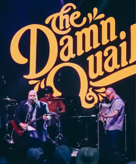 The Damn Quails artist profile image