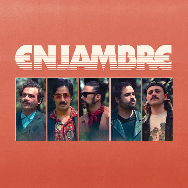 Enjambre artist profile image