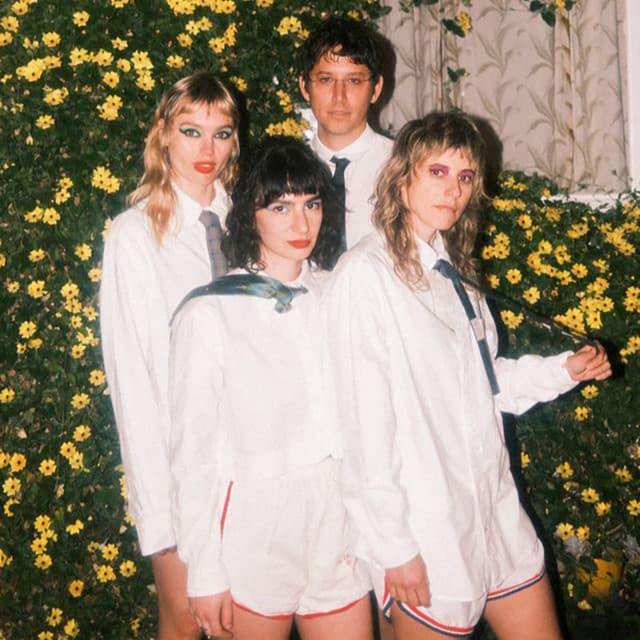 The Paranoyds artist profile