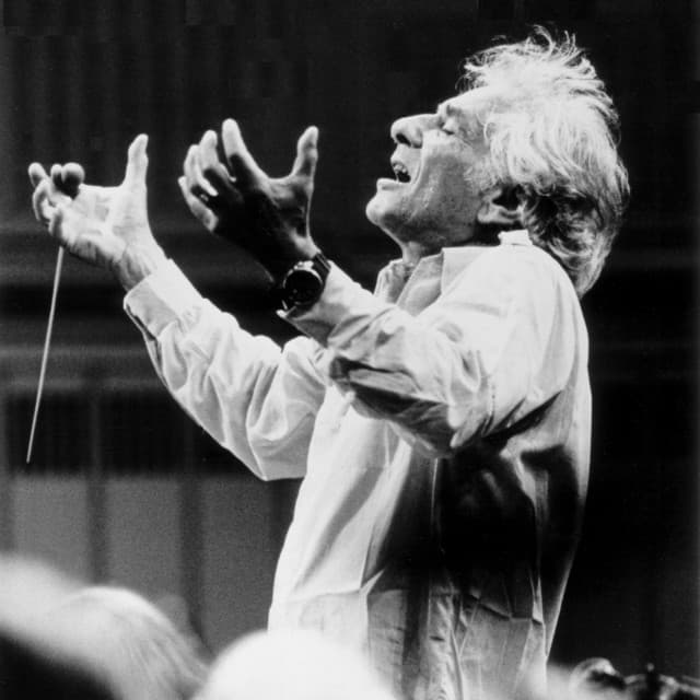 Leonard Bernstein artist profile image